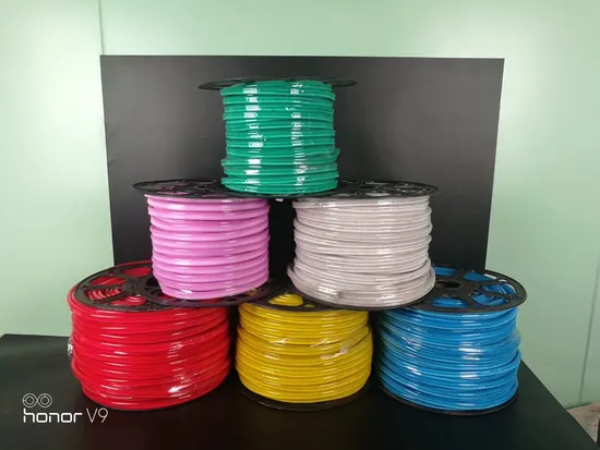 AC 110-240V LED Neon Light with Remote Cotroller