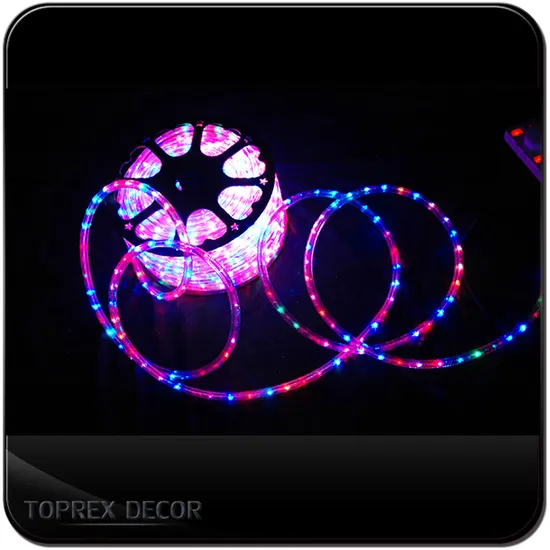2022 Newest Themed Decorations Neon RGB LED Clear Lights Patio Pendant Rope Light