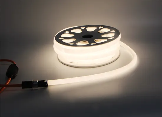 Chinese Factory Outlet Product 360degree LED Neon Strip IP65 Waterproof Decoration Neon Light 10 Kit