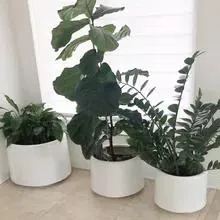 Hot Selling Large Tall Cylindrical Metal Steel Aluminum Garden Decoration Nursery Planter