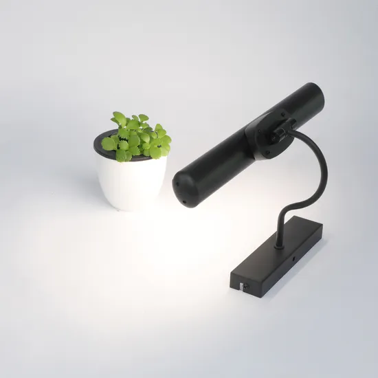 LED Picture Lamp, Wall Lamp, Flexible Gooseneck Desk Lamp for Weddings