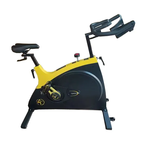 Modern Style Spinning Bike with LED Light (SK-A6019)