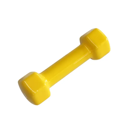 Stylish Neoprene Dumbbell Set for Women′s Fitness Goals