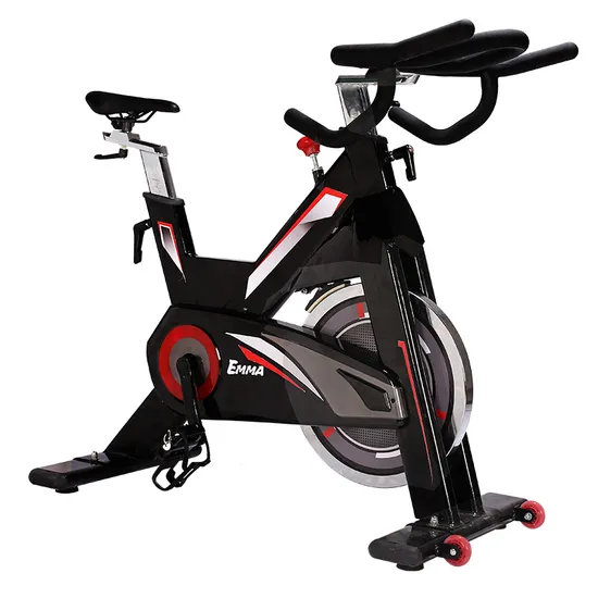 Commercial Use Spinning Bike (AM-S790)