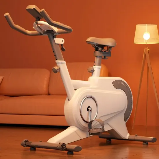 Home Aerobic Exercise Air Magnetic Spin Bike Indoor Spinning Cycling Bike
