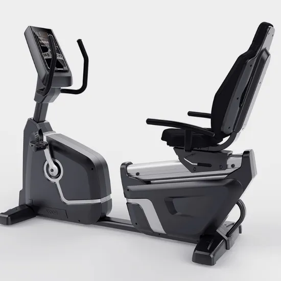 Professional Heavy Duty Home Fitness Gym Equipment Cardio Recumbent Bike