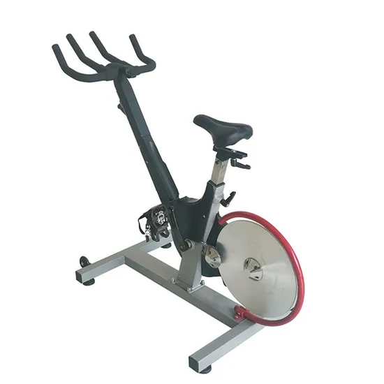 Professional Safe and Reliable High-Tech Fit Black Home Use Cardio Smart Gym Spin Bicycle