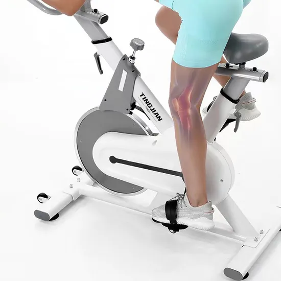 Home Gym Fitness Spin Bicycle Exercise Spinning Bike Indoor Sports Equipment