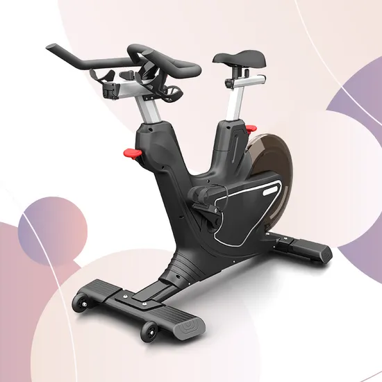 Gym Equipment Cardio Source Factory Magnetic Exercise Bike for Workout