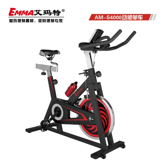 Spinnig Bike (AM-S4000)