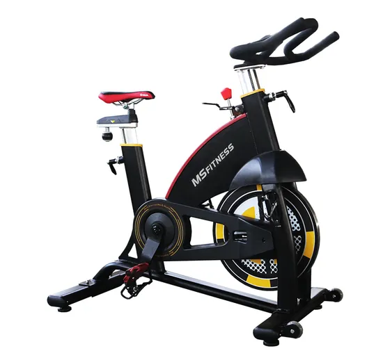 Hot Sale Fitness Equipment/Gym Machine/ Body Building Spin Bike