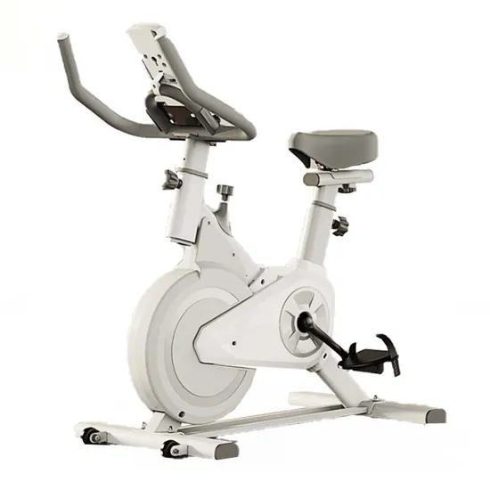 Wholesale Indoor Fitness Workout Spinning Bike Ultra-Quiet Exercise Bike