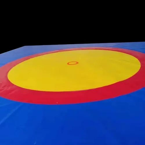 Customized Martial Arts Roll out Mats Wrestling Tatami Mat for Sport Exercise