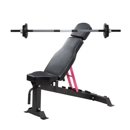 Hot Selling Gym Fitness Equipment Commercial Adjustable Weight Dummbell Bench