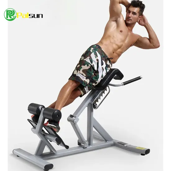 Multifunctional Commercial Fitness Roman Chair Professional Goat Push up Waist Abdominal Back Muscle Training Roman Stool
