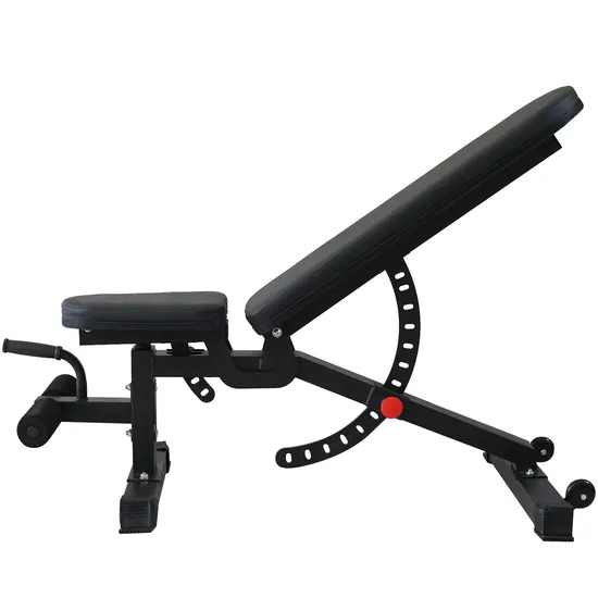 Cheap Price Fitness Equipment with Good Quality for Body Building Weightlifting Dumbbell Bench