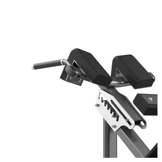 Fitness Gym Equipment Hyperextension /Roman Chair for Back Exercise