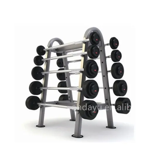 Factory Hot Sell Barbell Rack for Gym Storage Equipment