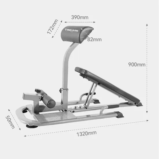 Popular Home Use Fitness Equipment Strength Plate Loaded Gym Equipment Roman Chair Back Extension Machine