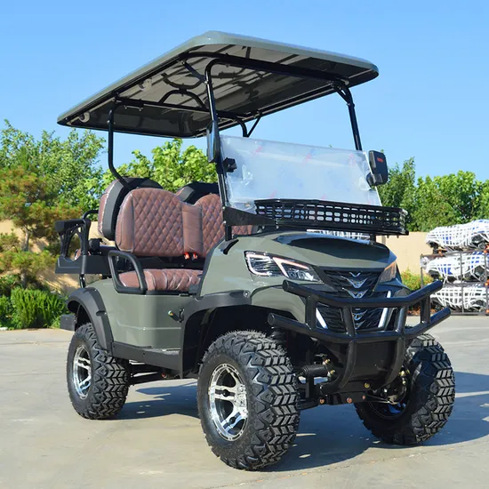 Leibin Electric Golf Cart ATV off-Road Lift 72V120ah Lithium Battery 4 Seats