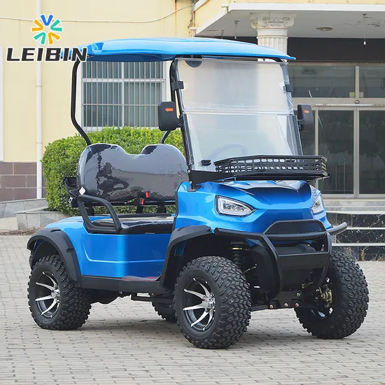Affordable 2 Seater Mini Sightseeing Car Golf Cart Electric Cars