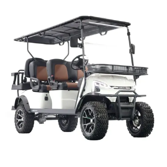 Marshell 6-Seater Electric Golf Cart with Lithium Battery