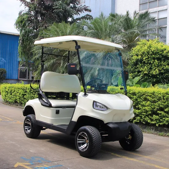 2 Seater Battery Operated Lead Acid or Lithium Powered Golf Cart Sightseeing Bus