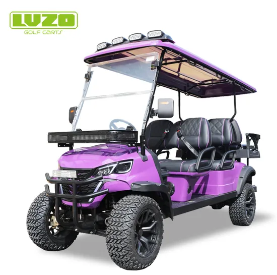 Customized Electric Golf Vehicle Street Legal Lithium Cart with Flip Flop Seats