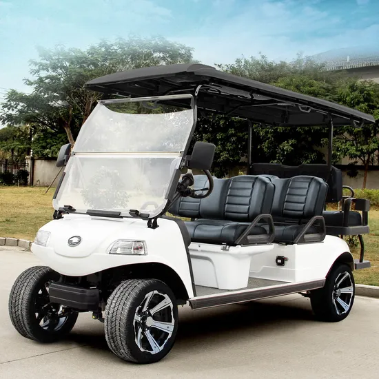 Hdk 6-Seater Mini Electric Cars Scooters Bus Golf Cart with Rear Seat