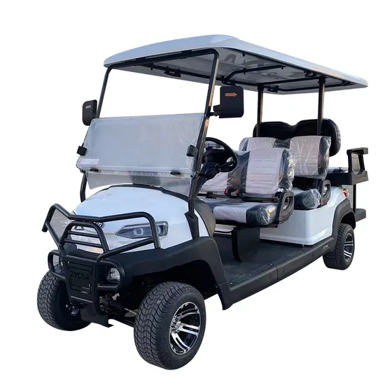 6/8-Seater Electric Golf Cart with 100km Range