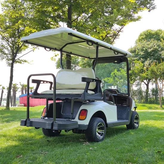 China Factory Professional Cheap Price 2+2 Golf Cart