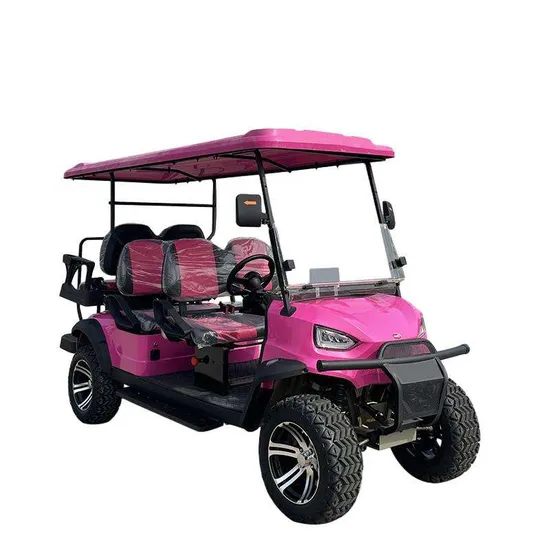 Factory 2 4 6 Seater Golf Cart 48V Lithium Battery Golf Carts