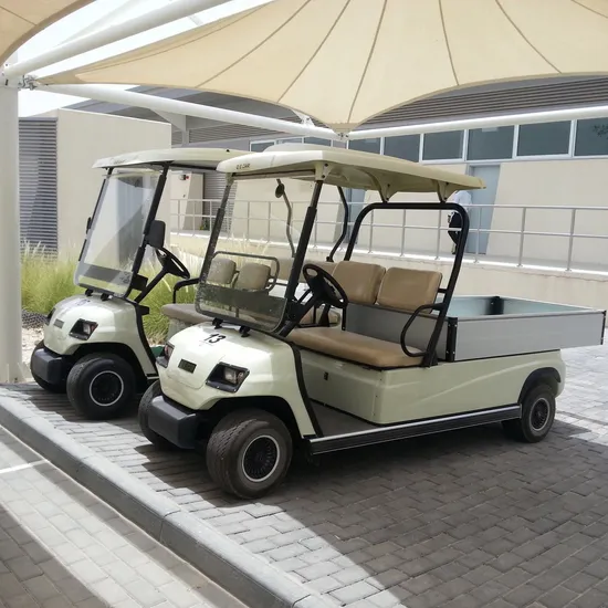 Battery 2 Seat Electric Sightseeing Bus Golf Cargo Car Cart (Lt-A2. H8)