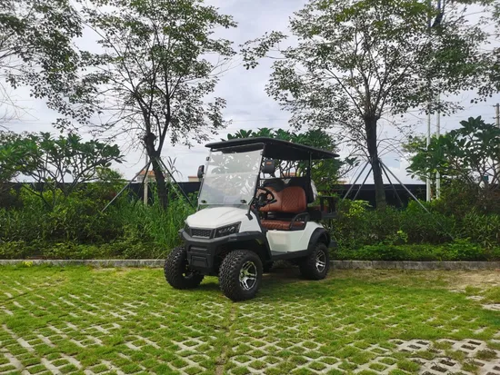 Versatile Electric Golf Car for Ultimate Course Convenience
