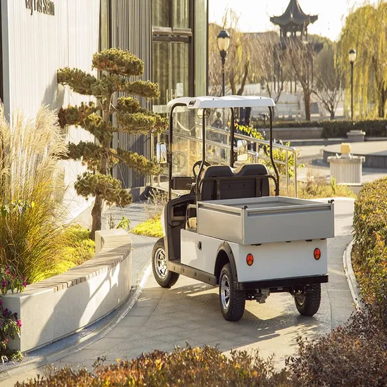 Wholesale Price 2 Seater Farm Utility Vehicles Golf Cargo Cart