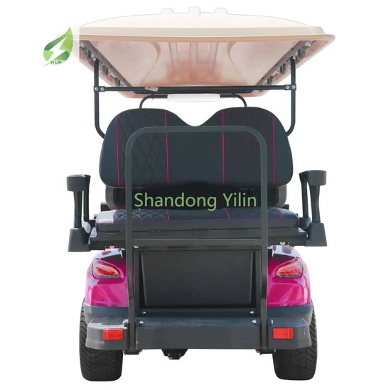 Electric Golf Cart Truck Style Factory Modified