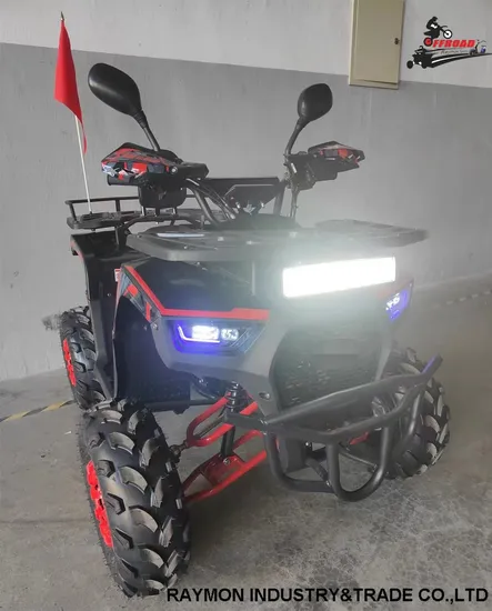 Top Quality Motorcycle ATV Automatic Dune Buggy Quad Bike 110cc/125cc