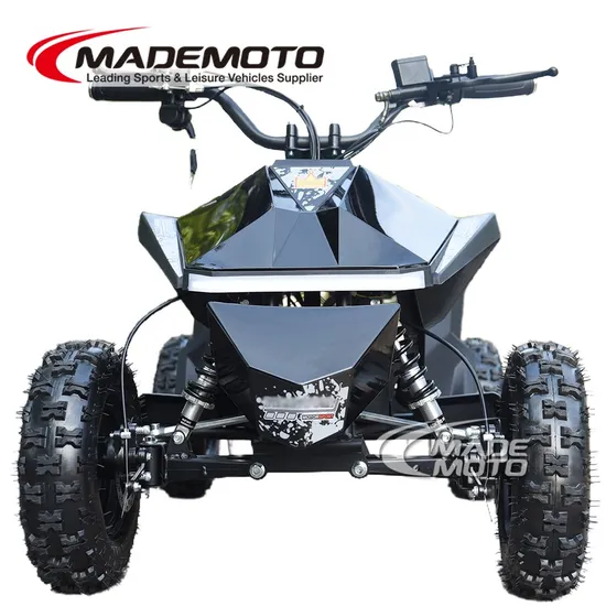 Wholesale 2025 Best Cheap Price 500W 1000W 1500W 36V 48V 60V 72V New Kids Mini Electric Petrol ATV Quad Bike for Sale Children Atvs From 250cc Quads ATV Factory