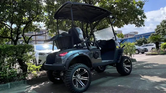 Brand New 2 Seater Beach Buggy Golf Cart 48V/72V 5kw Electric Mini Car