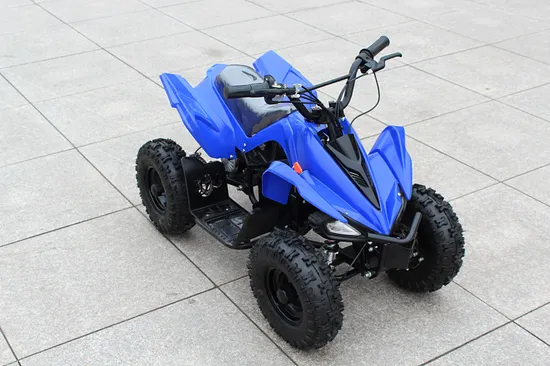 Kids 49cc Electric Starts Quad Bike Fashion Mini ATV
