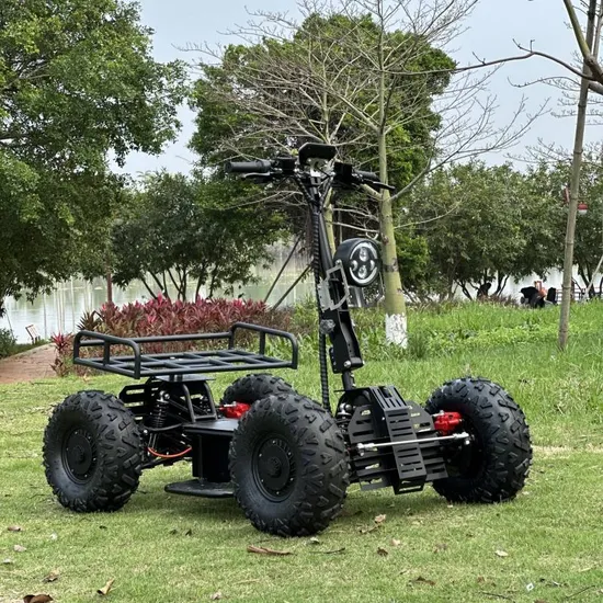 Electric Versatile ATV 5000W 10000W off-Road Electric Scooter Electric Mountain Tank
