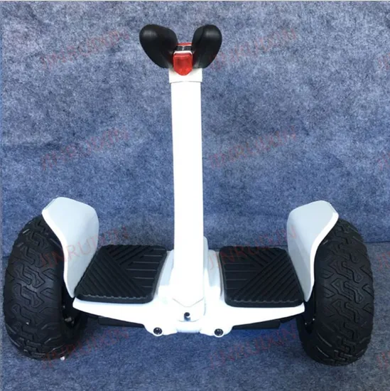 Cross Border off-Road Wheel Electric Intelligent Creative Two-Wheel Body Sense Scooter 10 Inch 54V Elephant Motherboard Balance Car International Model