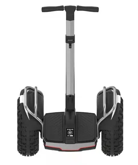 Golf Scooter off Road Police Patrol Bodyguard Scooter