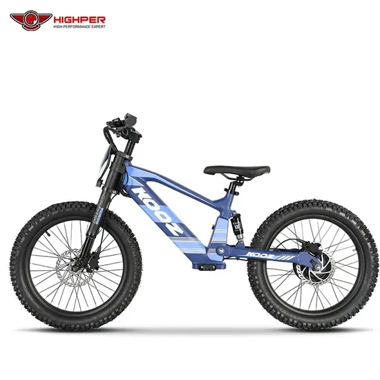 350W 500W 750W Balance Bike with 18inch 20inch Wheels for off Road Kids E Bikes