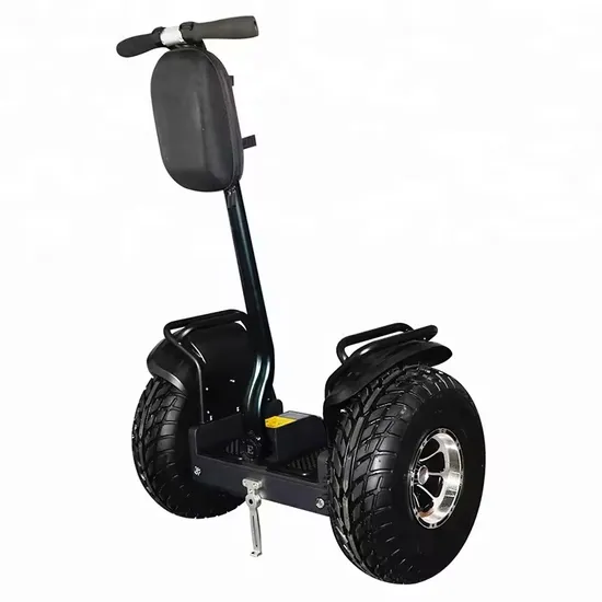 Electric Snowmobile Snow Scooter Winter and Summer Dual Purpose Vehicle