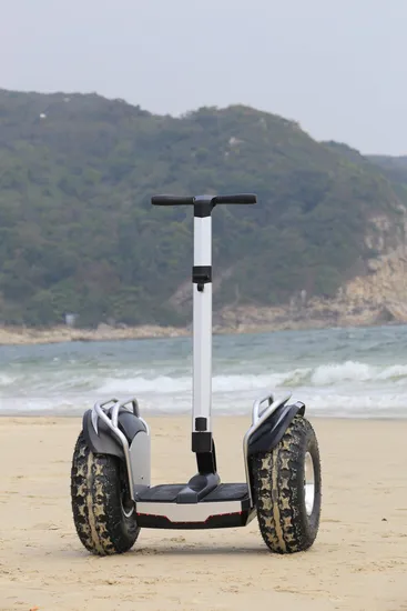 Fast Shipping 2400W Adult Two Wheels 20in Electric Scooter Dual Motor Powerful Adult Self Balancing Escooter