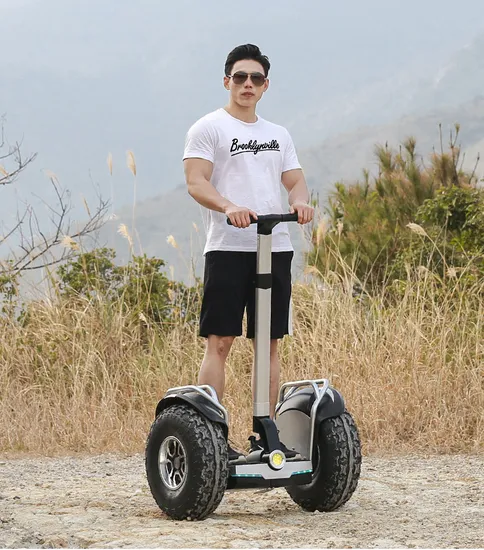 Adults Two Wheel Self Balancing Electric Scooter with 19 Inch Fat Tire