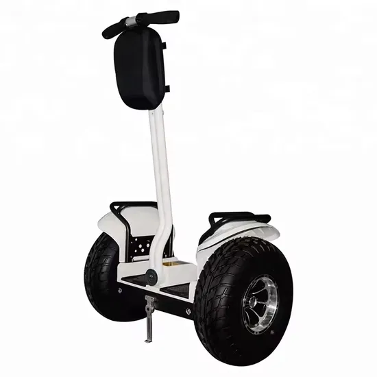 Eswing Beach off-Road Self-Balancing Electric Scooter with GPS Positioning