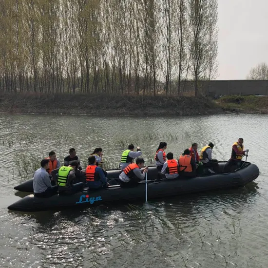 China Liya 4.2-6.5m Foldable Inflatable Fishing Boat with Motor