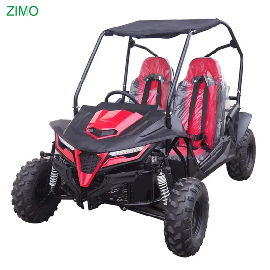 2025 New Cheap 200cc 250cc Gasoline Racing Dune Buggy Beach Off Road Go Kart for Adults
